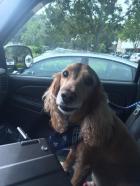 Sammy Went Home