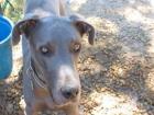 Nala In Need