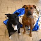Minnie and Marley