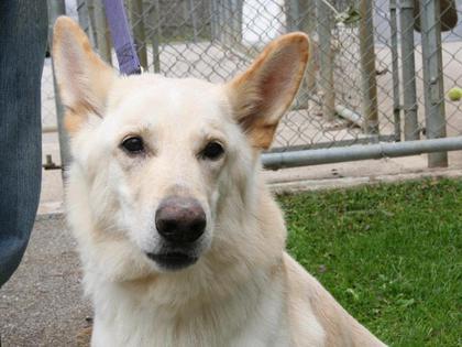 Busby