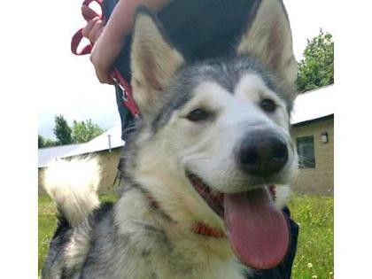 Mishka