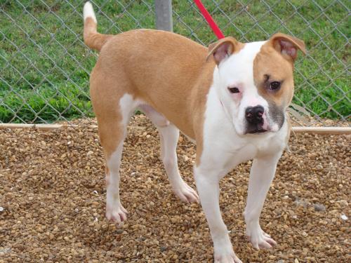 Quincy Urgent