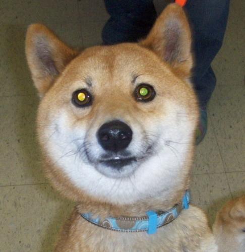 Taki