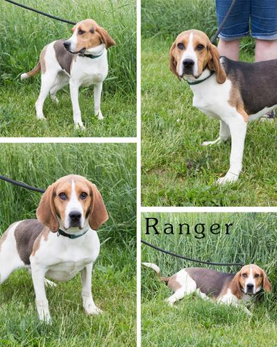 Ranger
