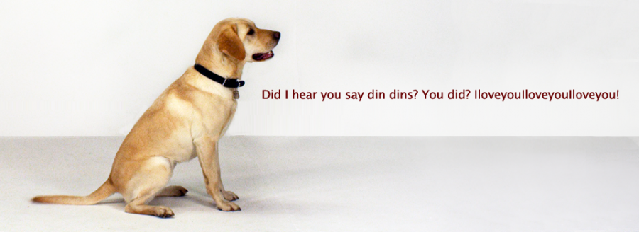 Labrador