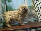A432974-urgent Moreno Valley