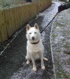 KALUKE