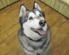 Meeki