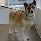 Kita