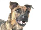 Roxy