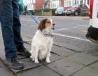 Buster