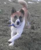 Tidsy