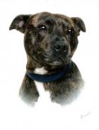 Bernard