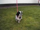 Roxy