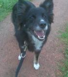 BUSTER