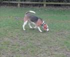 Billy