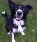 MURPHY