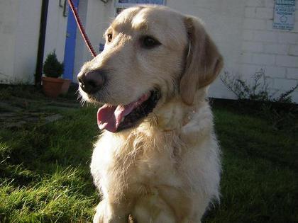 Charlie