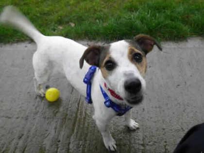 Lola