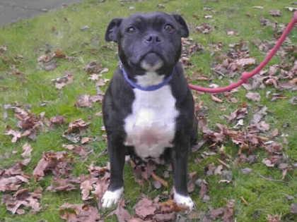 Samantha