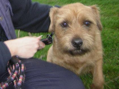 Charlie 
