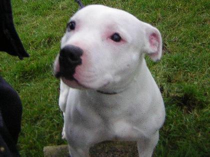 Samson