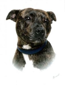 Bernard