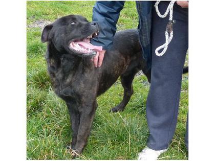 Thomas