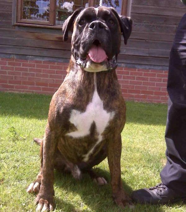 HOOCH