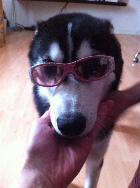 Shilo