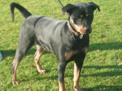 Roxy