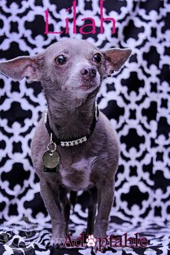 Lilah