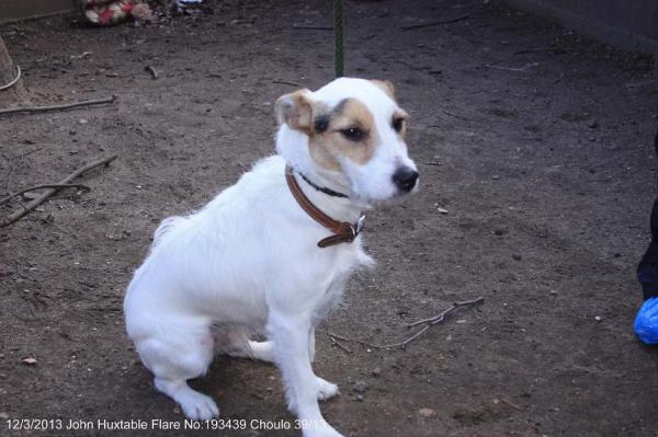 Chico