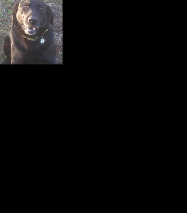 BARNEY