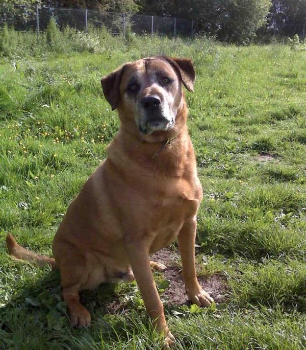 BUSTER