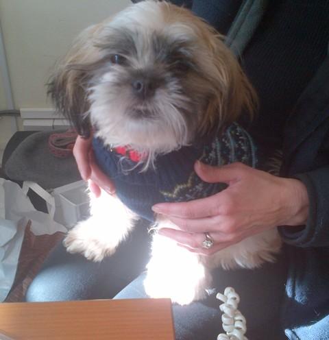 Bertie